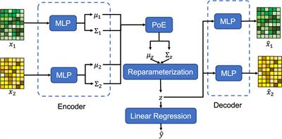 Multi-view information fusion using multi-view variational autoencoder to predict proximal femoral fracture load